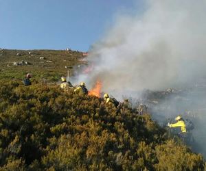 How to protect your home from a wildfire