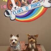 Pet Grooming - Claws & Paws - Gansbaai