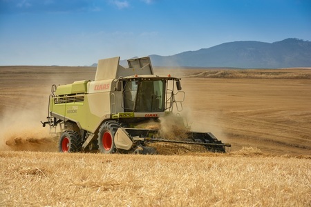 untitled_7165_1606905007