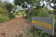 23._Sandberg_Fynbos_Reserve_12.18.18_CAPECLICK_1606914930