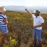 Gansbaai - Sandberg Fynbos Reserve - Visitors To The Reserve
