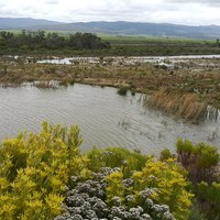 Gansbaai -  Sandberg Fynbos Reserve - Swimming Dam At Sandberg