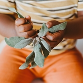 Xplorio™ Gansbaai - i-MED Africa - Sage