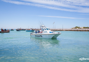 Next Boat Angling Trip - 12 December 2020