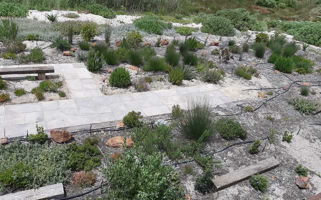 WhatsApp_Image_2020_12_10_at_13.06.25_2_1607611211