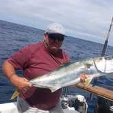 Xplorio™ Struisbaai - Awesome Charters - The Fish Are Here!