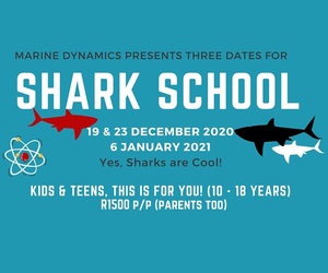 Shark School: 19 & 23 December 2020 and 6 January 2021
