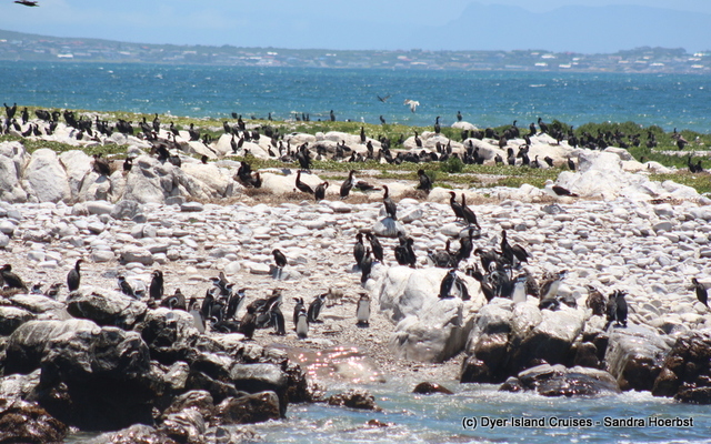 20201213_DC_Trip1_SandraHoerbst_40JPG_1608020639