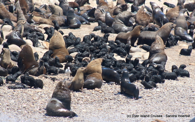 20201213_DC_Trip1_SandraHoerbst_55JPG_1608020640