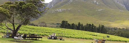 stanford_stanford_hills_view_from_pond_1608025396