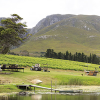 Stanford - The Tasting Room - View From Pond