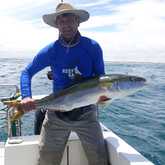 Xplorio™ Struisbaai - Awesome Charters - Boat Angling