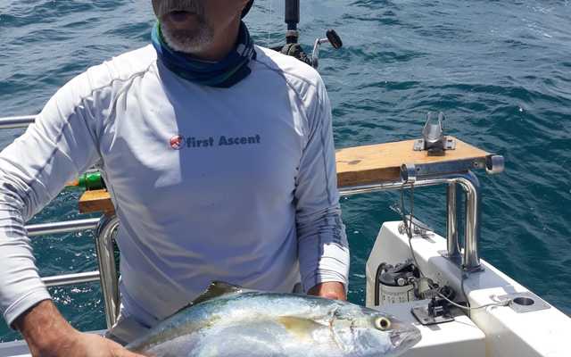 WhatsApp_Image_2020_12_17_at_14.43.28_3_1608269643 WhatsApp_Image_2020_12_17_at_14.43.28_3_1608269643