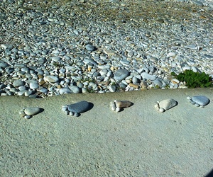 Seemeeu Desember 2020: Genade in 'n moeilike jaar