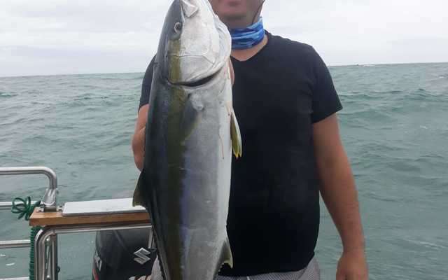 WhatsApp_Image_2020_12_21_at_14.30.54_1_1608616134 WhatsApp_Image_2020_12_21_at_14.30.54_1_1608616134