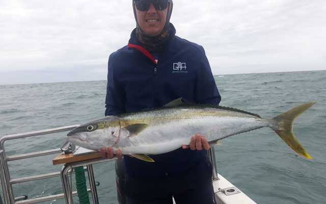 WhatsApp_Image_2020_12_21_at_14.30.54_2_1608616134 WhatsApp_Image_2020_12_21_at_14.30.54_2_1608616134