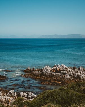 whale_cove_39__1609140830