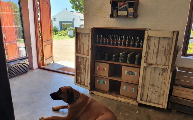 131256490_4287129414647510_2391178403683713223_n_1609147876