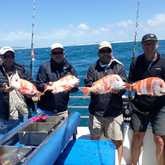 Xplorio™ Struisbaai - Awesome Charters - 28 December 2020