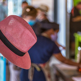 Accessories - Taste Dilemma - Xplorio™ Gansbaai 