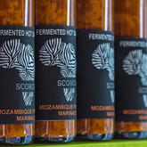 Marinade - Taste Dilemma - Xplorio™ Gansbaai