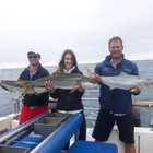 Xplorio™ Struisbaai - Awesome Charters - 5 January 2021 Xplorio™ Struisbaai - Awesome Charters - 5 January 2021