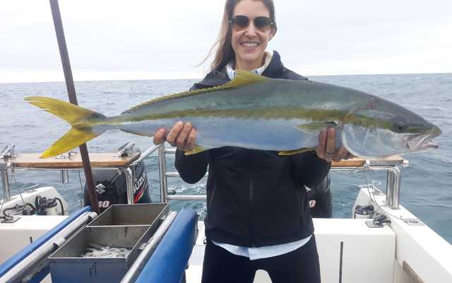 WhatsApp_Image_2021_01_05_at_10.25.37_2_1609913702 WhatsApp_Image_2021_01_05_at_10.25.37_2_1609913702