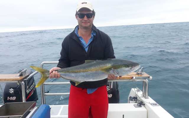 WhatsApp_Image_2021_01_05_at_10.25.37_3_1609913702 WhatsApp_Image_2021_01_05_at_10.25.37_3_1609913702