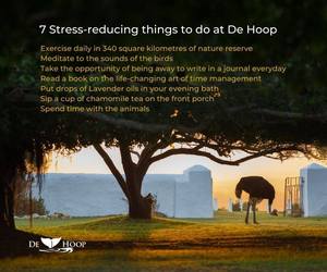 7 Stress-reducing things to do at De Hoop