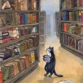 Books - Gansbaai Book Exchange - Xplorio™ Gansbaai