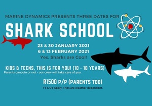 Shark School (23 & 30 January 2021 + 6 & 13 February 2021)
