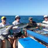Yellowtail Fish - Awesome Charters - Xplorio™ Agulhas/Struisbaai