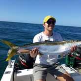 Yellowtail Fish - Awesome Charters - Xplorio™ Agulhas/Struisbaai