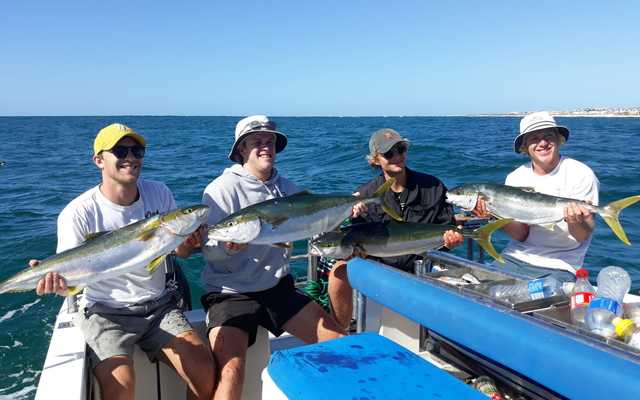 WhatsApp_Image_2021_01_20_at_10.25.51_2_1611211519 WhatsApp_Image_2021_01_20_at_10.25.51_2_1611211519