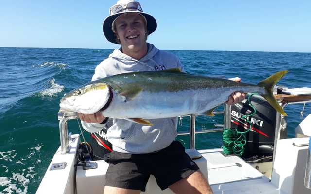 WhatsApp_Image_2021_01_20_at_10.25.51_3_1611211519 WhatsApp_Image_2021_01_20_at_10.25.51_3_1611211519