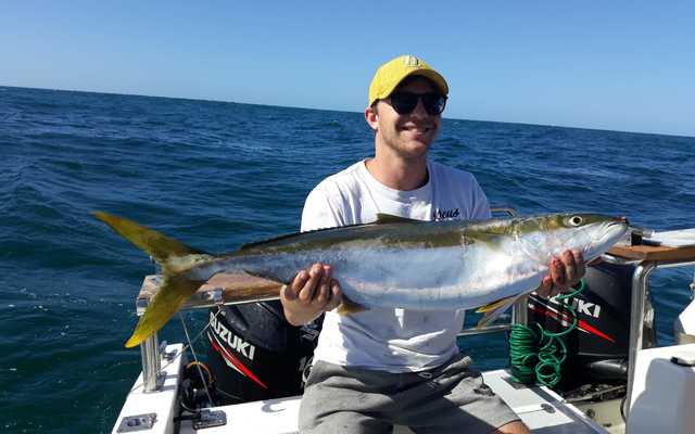 WhatsApp_Image_2021_01_20_at_10.25.52_3_1611211521 WhatsApp_Image_2021_01_20_at_10.25.52_3_1611211521