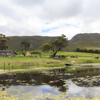 View of Venue - Stanford Hills Function Venue - Xplorio™ Stanford