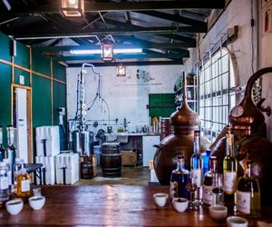 5 Fun Facts About GIN!