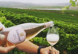 Reserve your favorite MCC today!