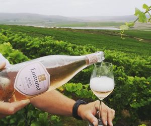 Reserve your favorite MCC today!