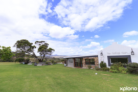 Tastings and Wine Sales