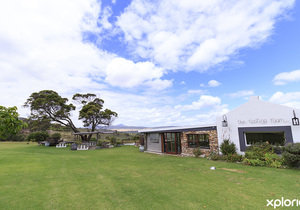 Tastings and Wine Sales