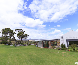 Tastings and Wine Sales