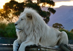 FEBRUARY HAS THE BEST WEATHER FOR A MAGICAL SUNSET VISIT!