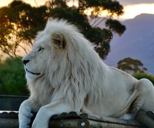 FEBRUARY HAS THE BEST WEATHER FOR A MAGICAL SUNSET VISIT!