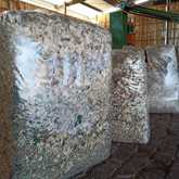 Agulhas Biomass Fuel - Xplorio™ Bredasdorp