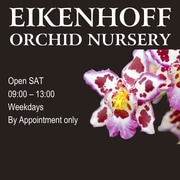 We are open on Saturdays!