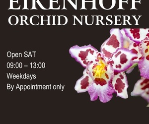 We are open on Saturdays!