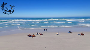 BEACHES ARE OPEN AGAIN