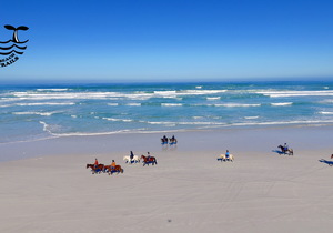 BEACHES ARE OPEN AGAIN